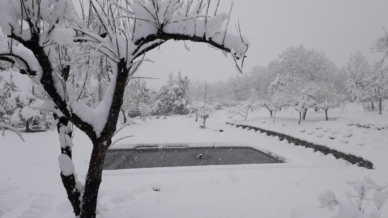 Masseria Boutique B&B Montella Dış mekan fotoğraf