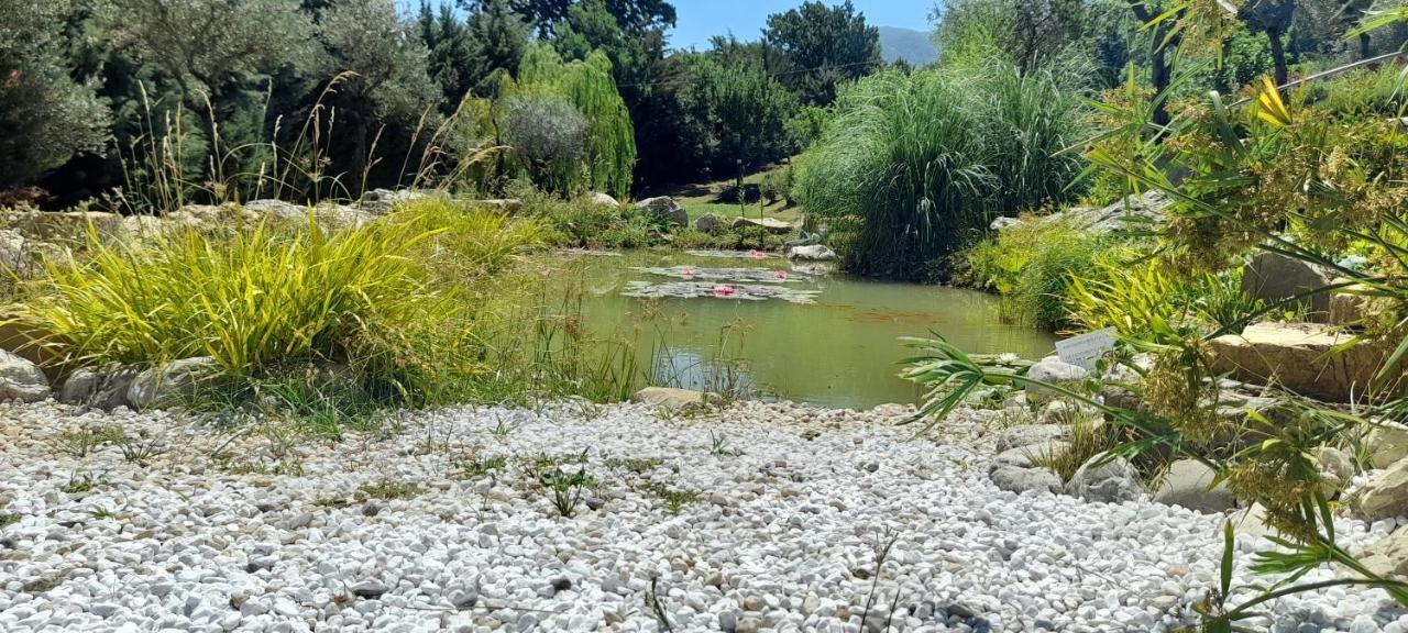 Masseria Boutique B&B Montella Dış mekan fotoğraf