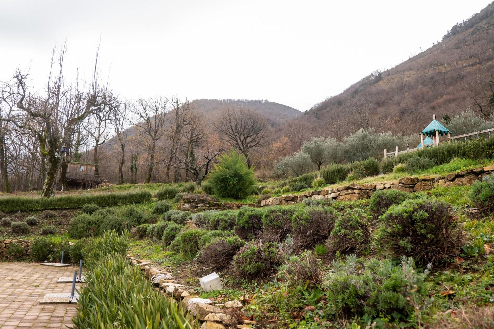 Masseria Boutique B&B Montella Dış mekan fotoğraf