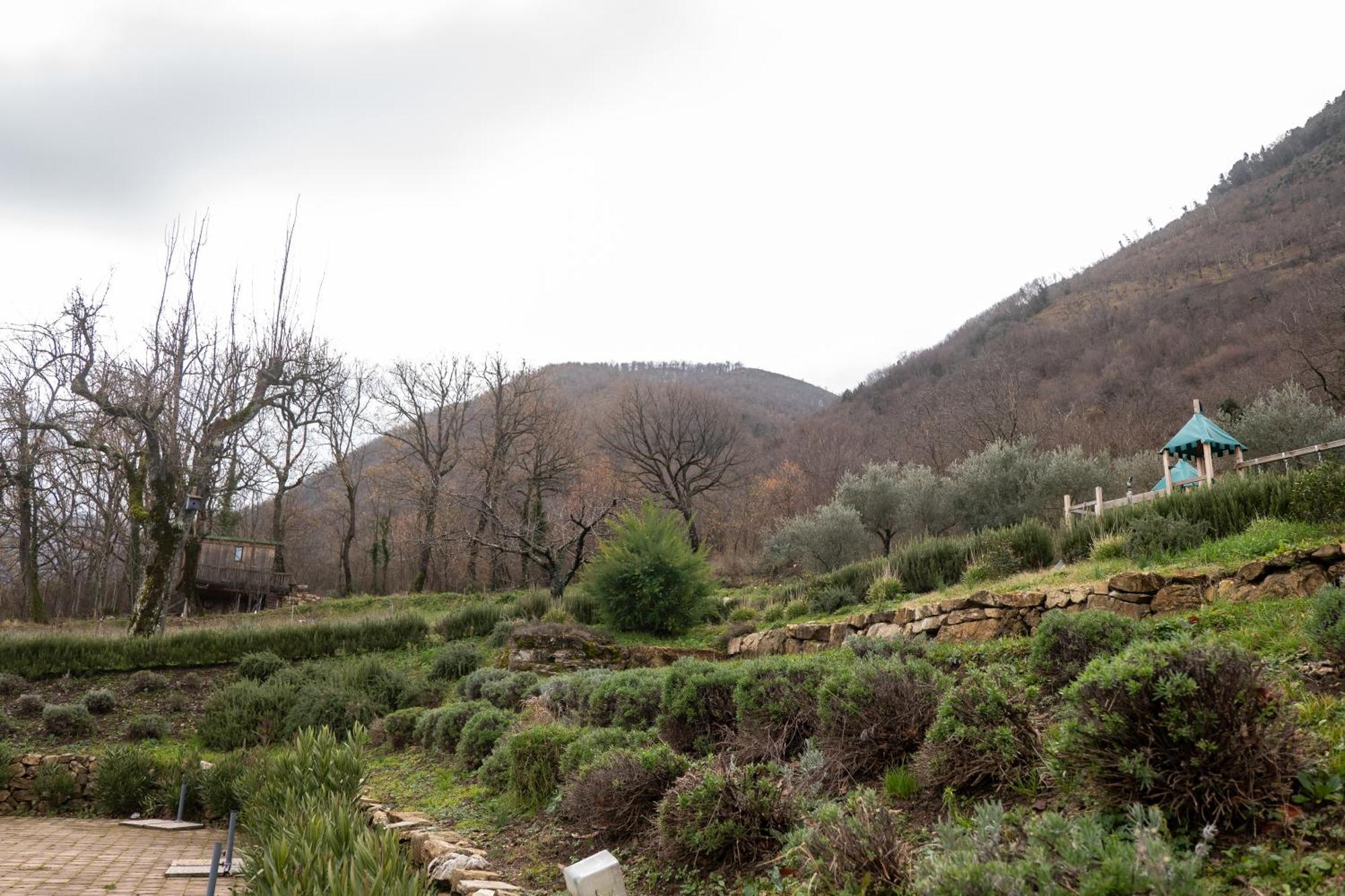 Masseria Boutique B&B Montella Dış mekan fotoğraf